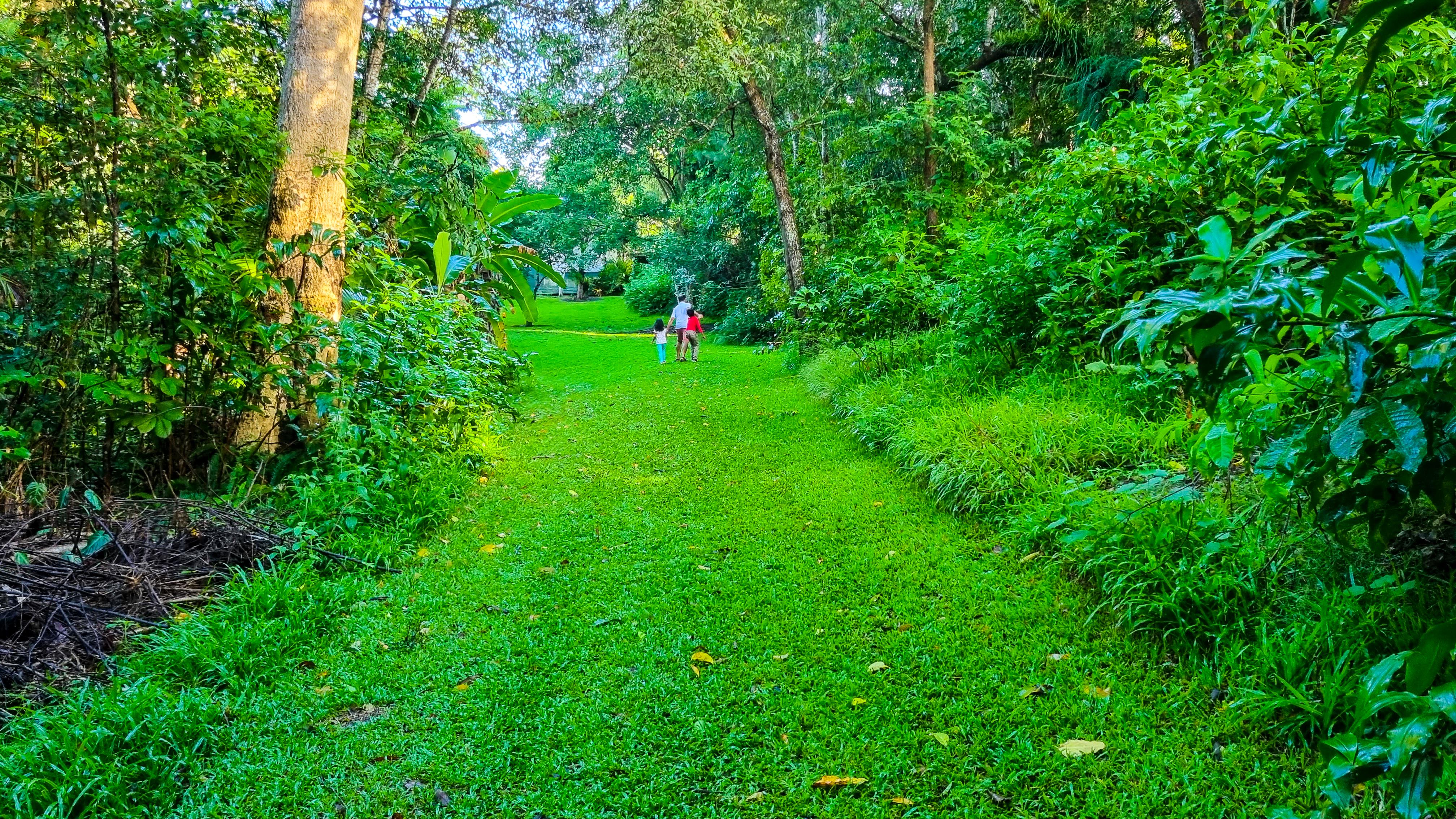 Kuranda